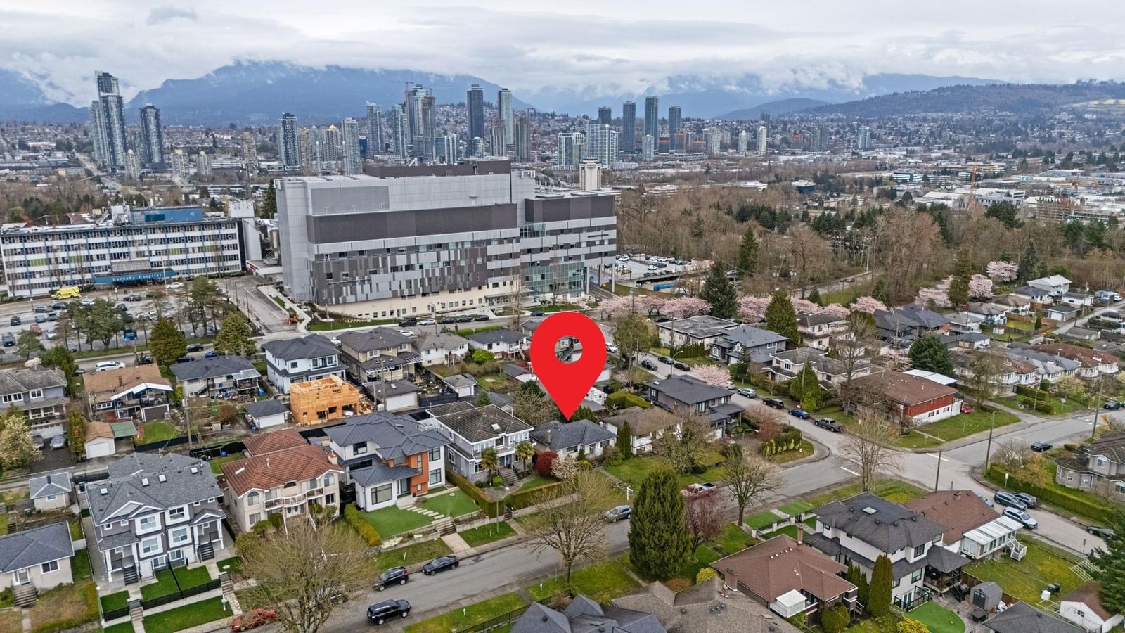 Listing Image 6