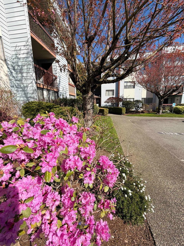 302 - 2279 Mccallum Road