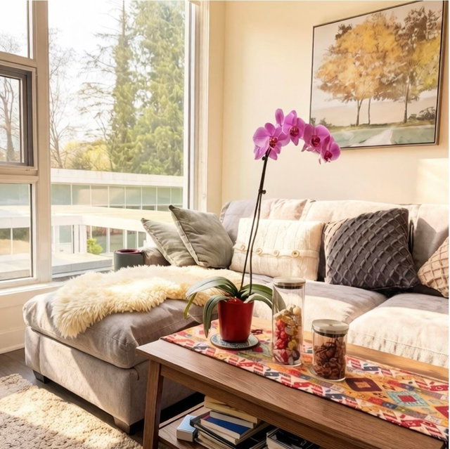 306 - 595 Austin Avenue