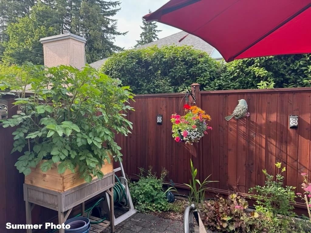 Listing Image 34
