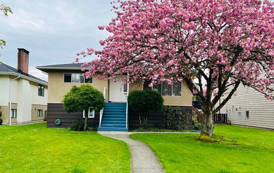 4708 Westlawn Drive | Burnaby | Image