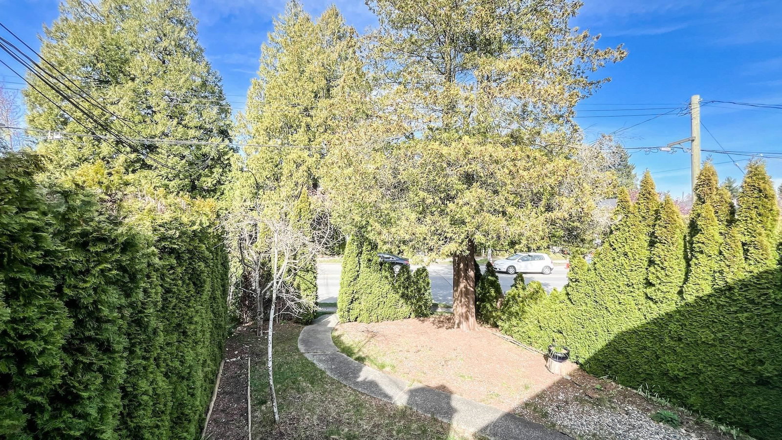 Listing Image 21