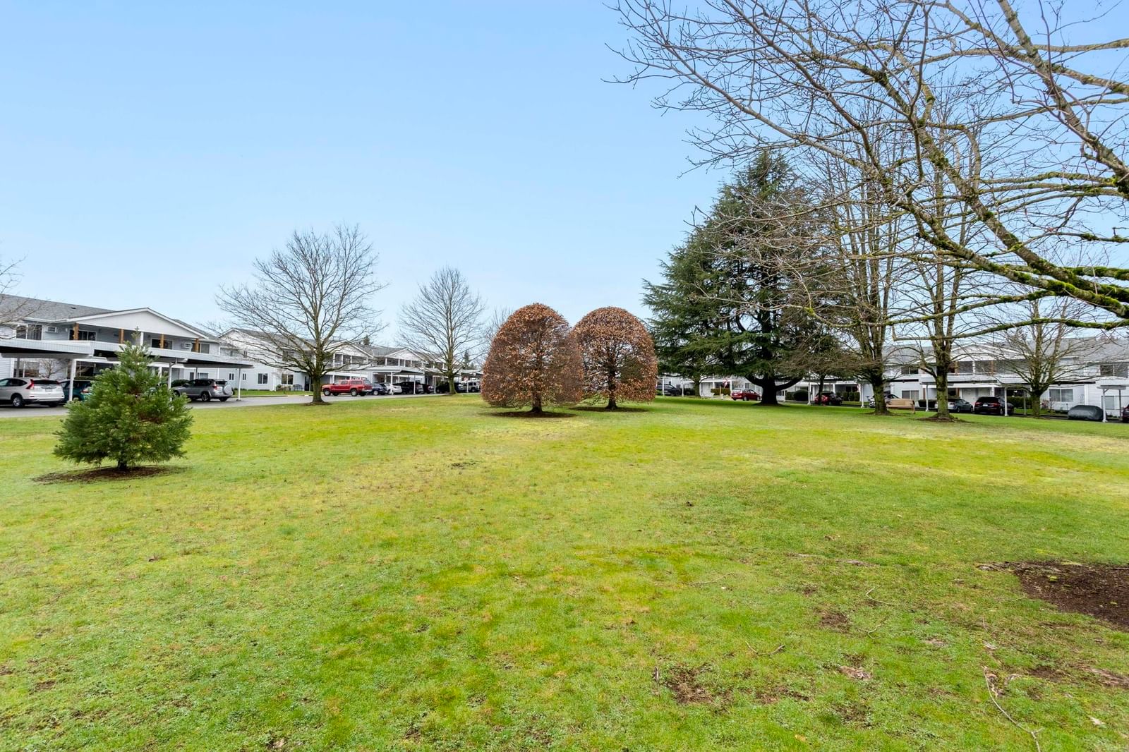 Listing Image 27