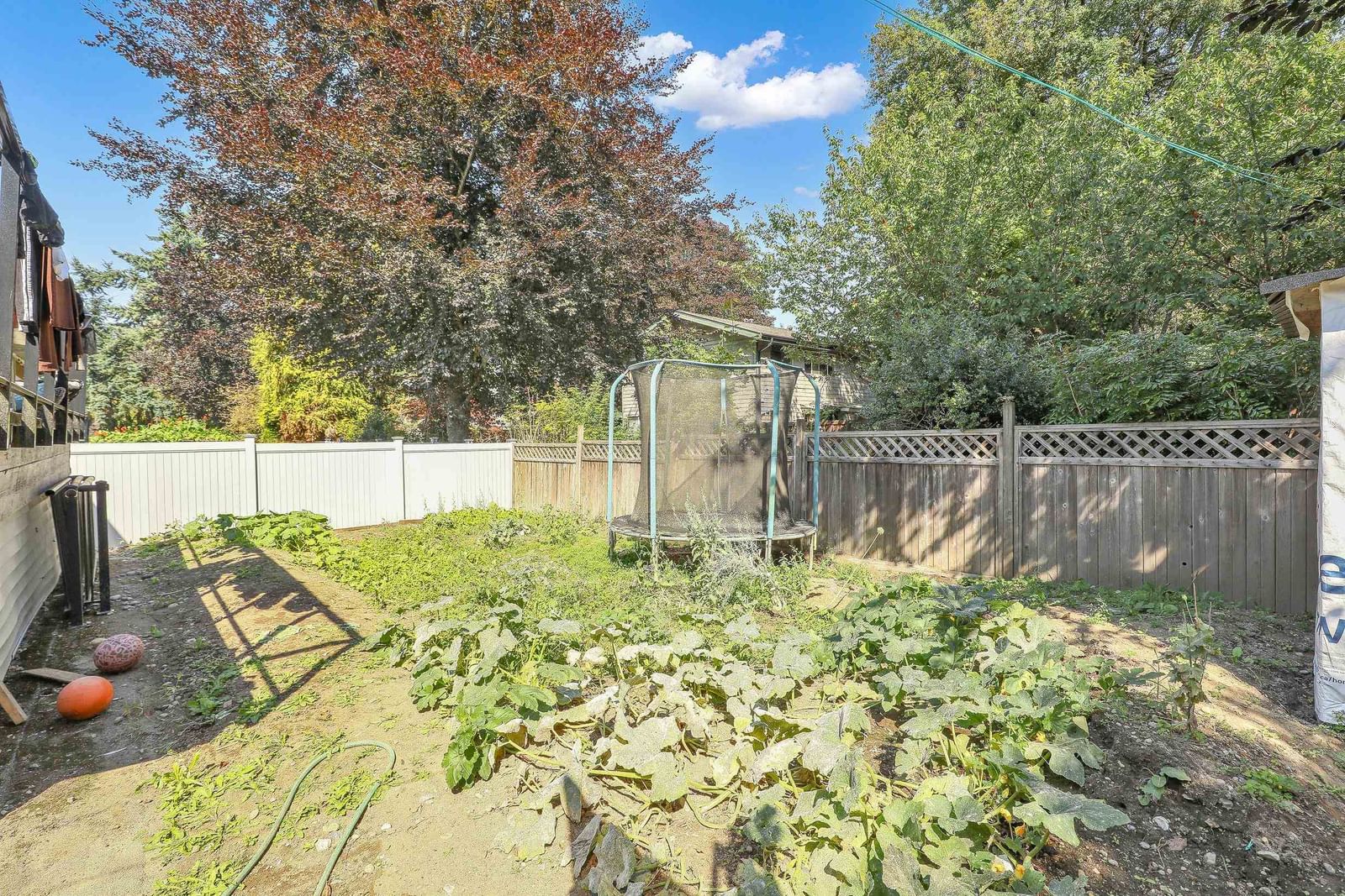 Listing Image 32
