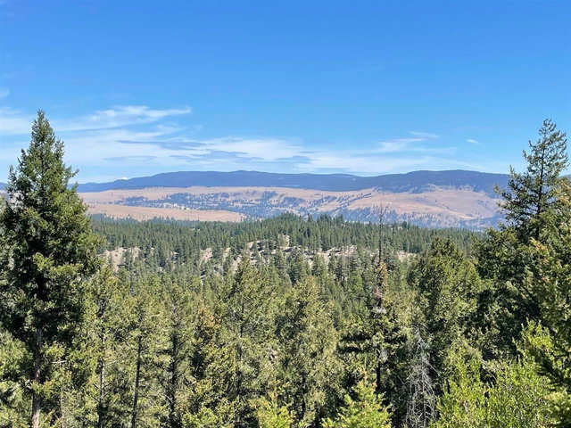 199 Old Black Mine Road