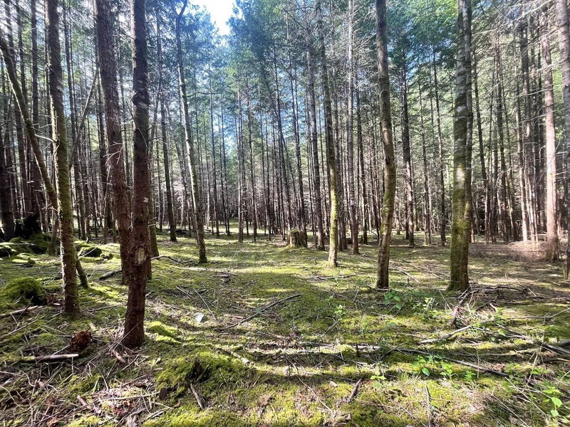 1840 Seymour Road, Gabriola Island, V0R 1X6 | Image 2