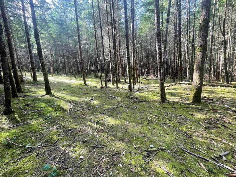 1840 Seymour Road, Gabriola Island, V0R 1X6 | Image 3