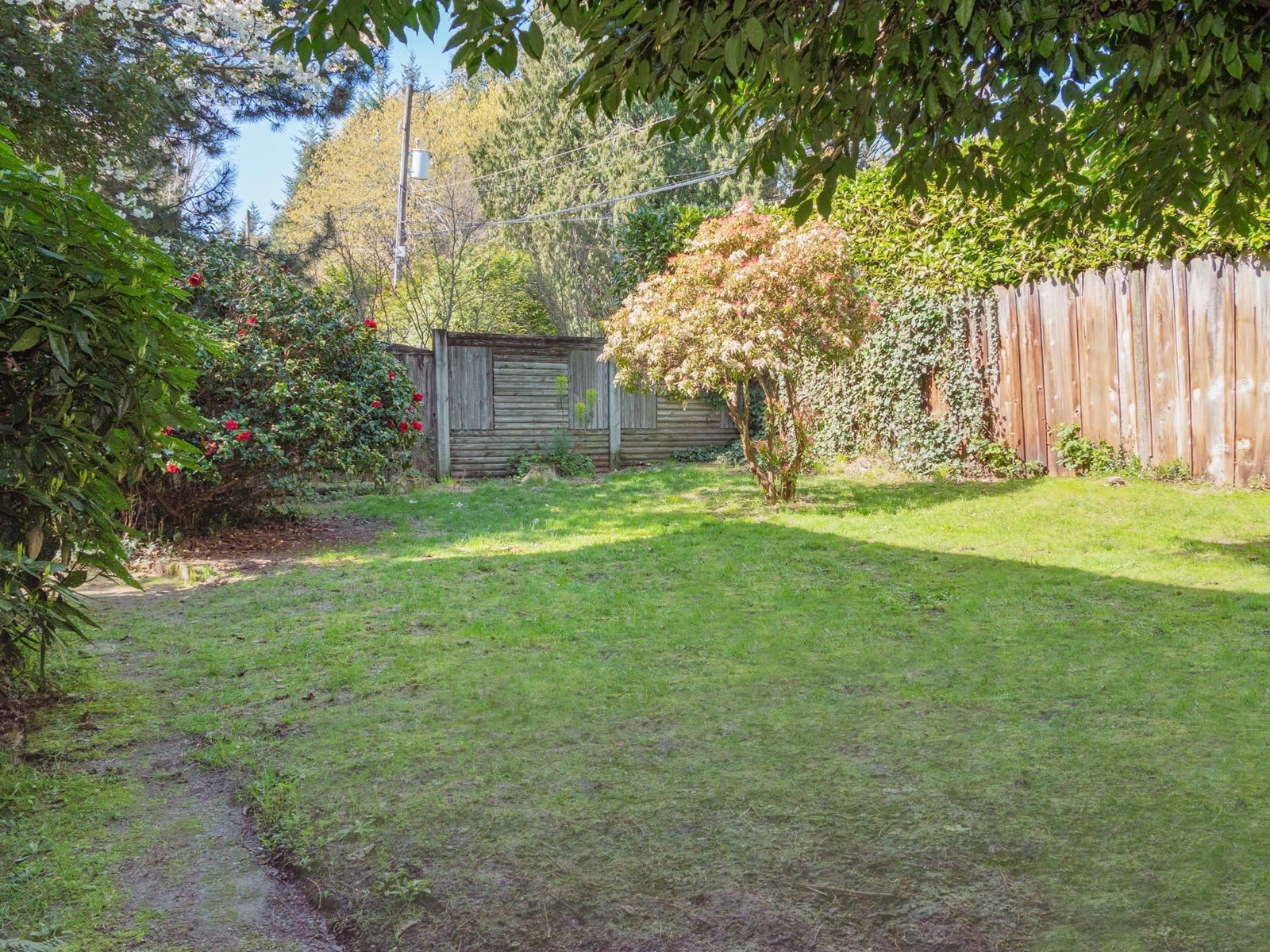Listing Image 30
