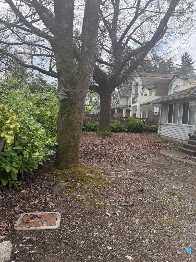 10269 132 Street, Surrey, V3T 3T8 | Image 2