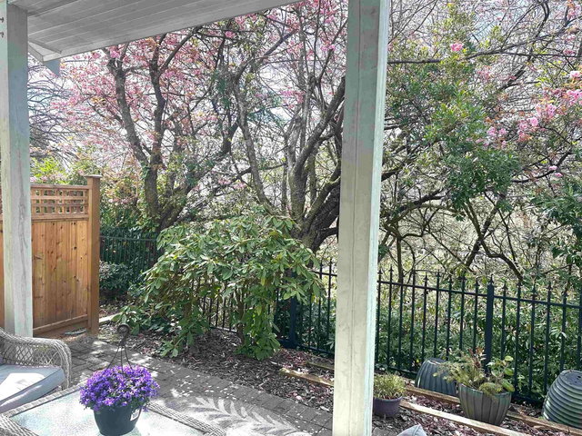 233 Waterleigh Drive