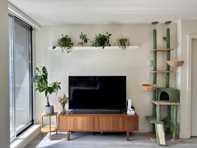 809 - 1212 Howe Street