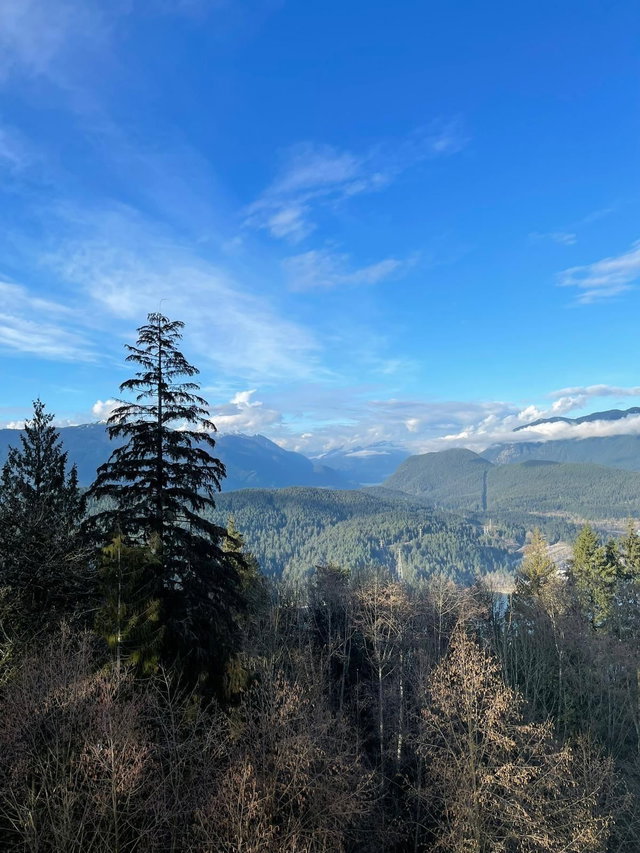 801 - 9232 University Crescent