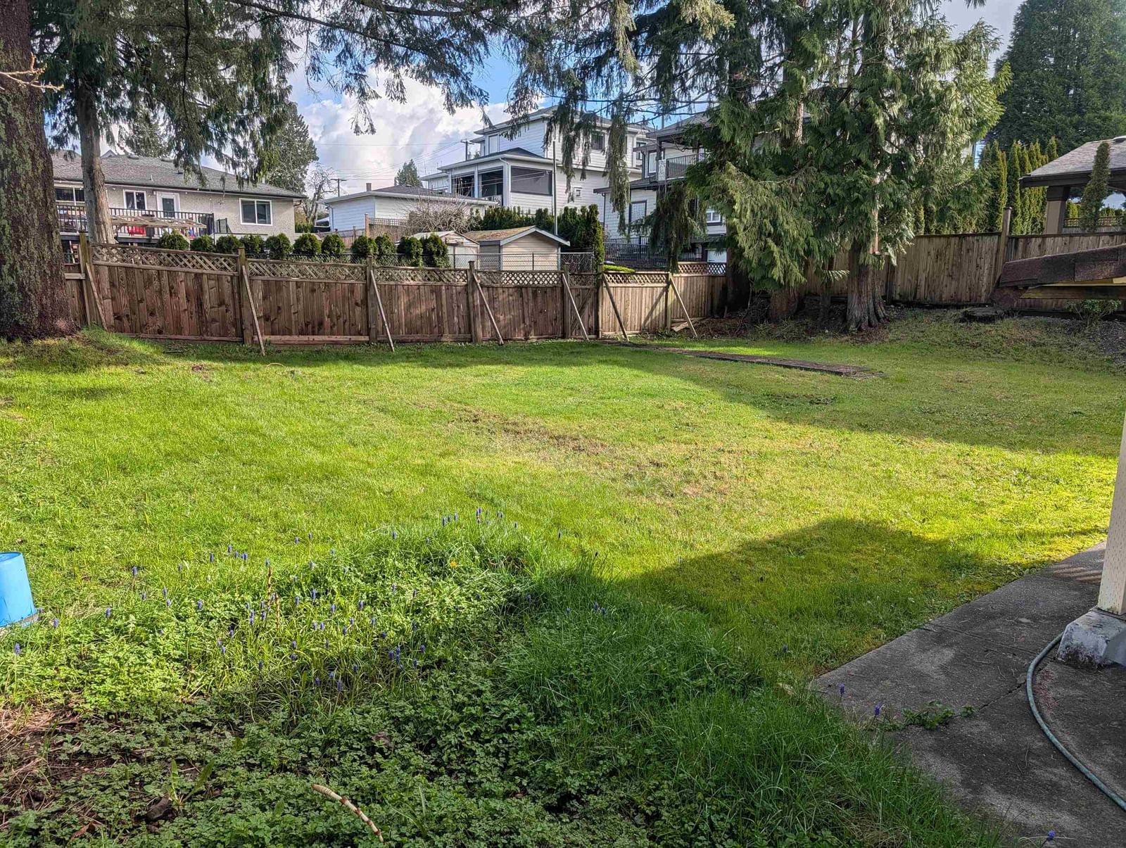 Listing Image 14