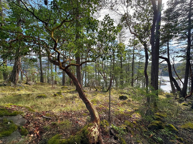 LOT 14 Flagship Road, Garden Bay, V0N 1S1 | Image 3