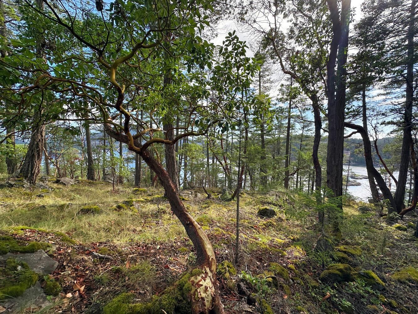 Listing Image 3