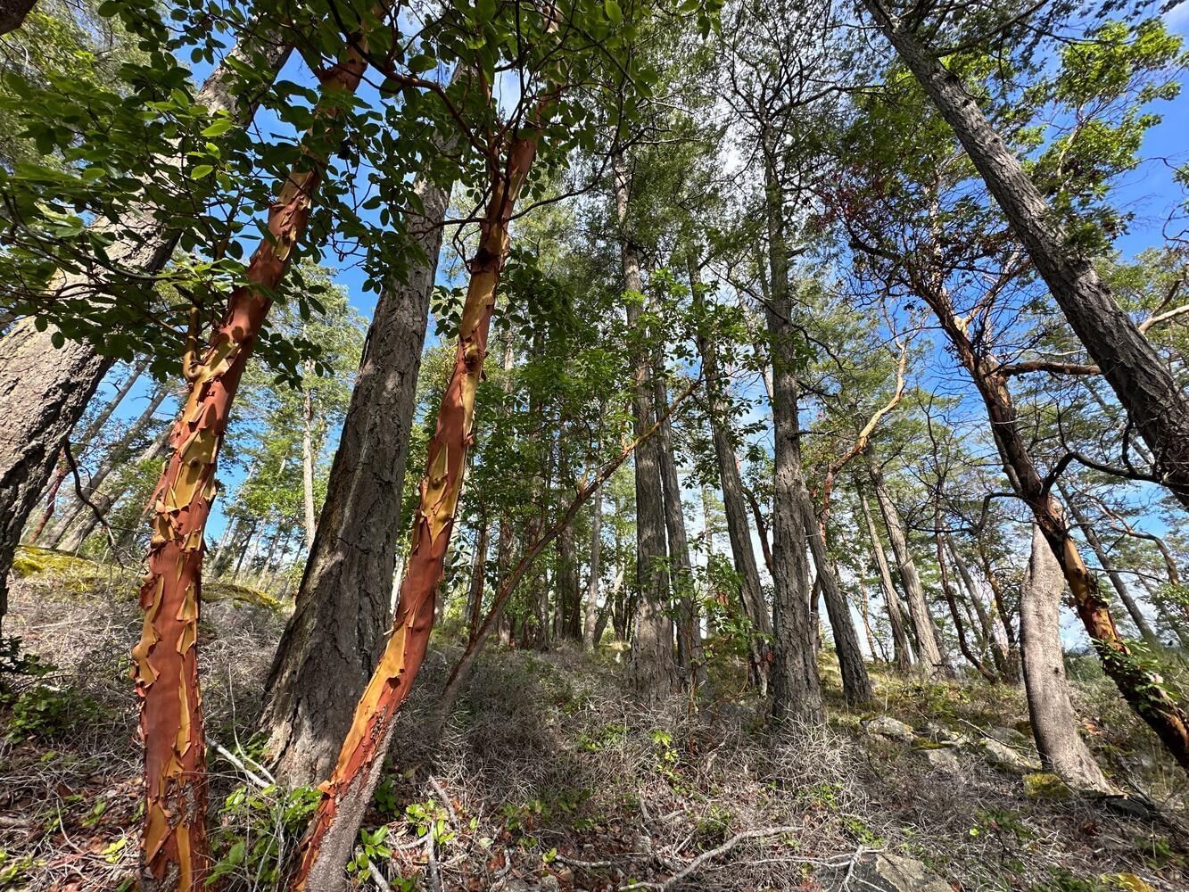 Listing Image 6