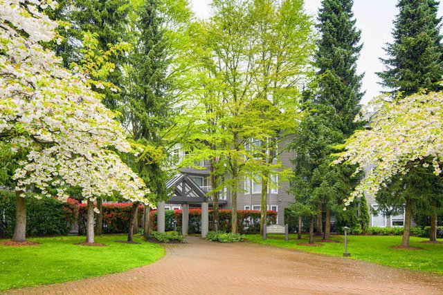 206 - 15150 108 Avenue