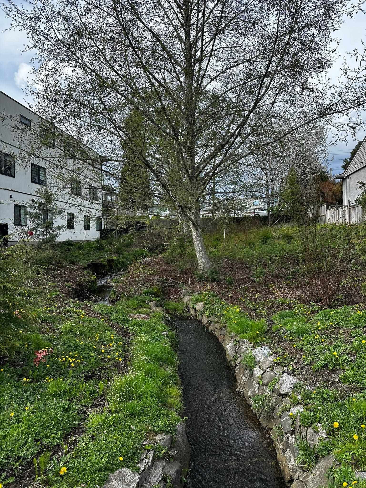 Listing Image 28