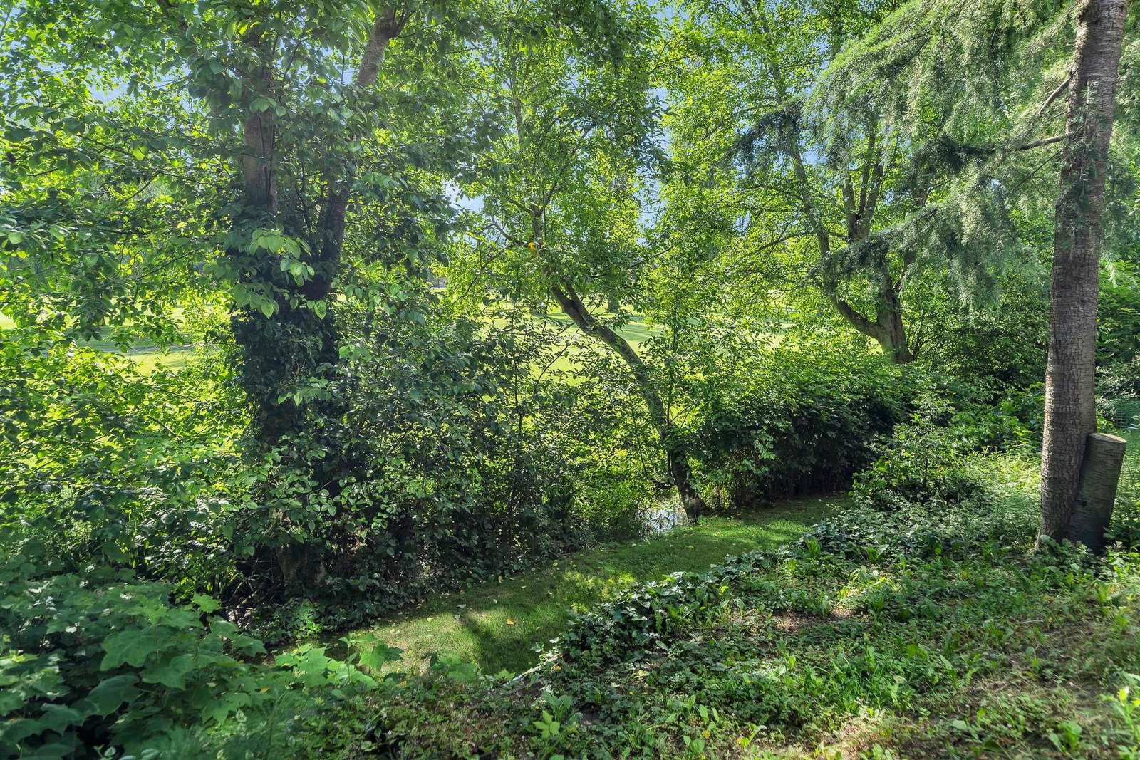 Listing Image 30