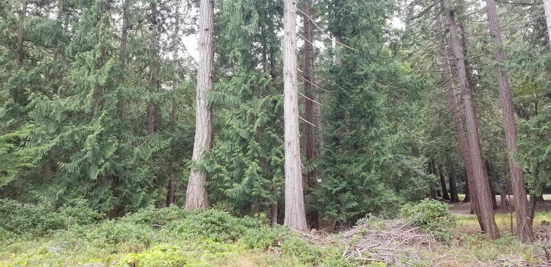 512 Aya Reach Road, Mayne Island, V0N 2J1 | Image 2