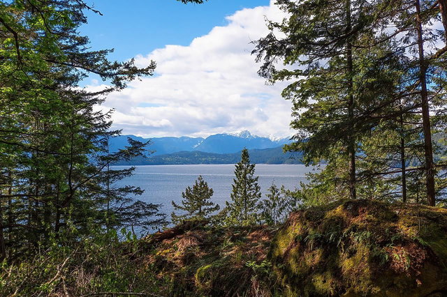 1750 Billington Road