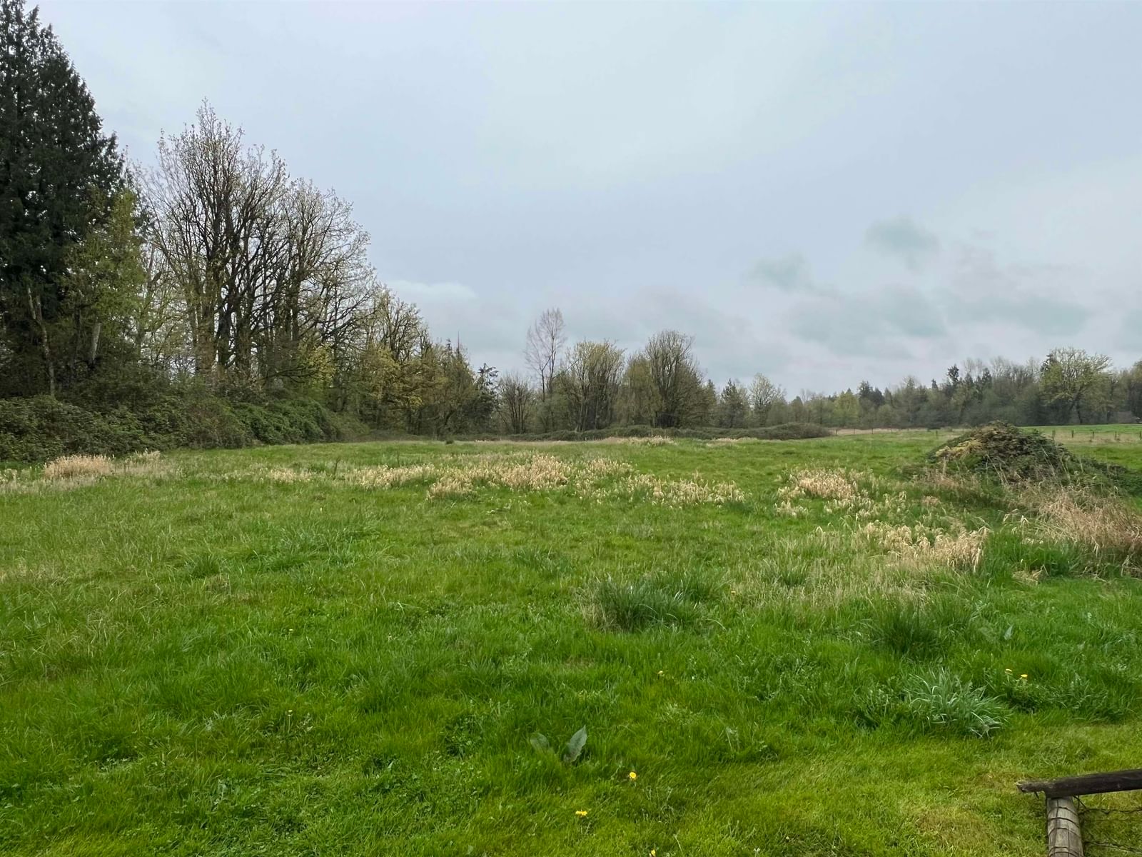 Listing Image 24