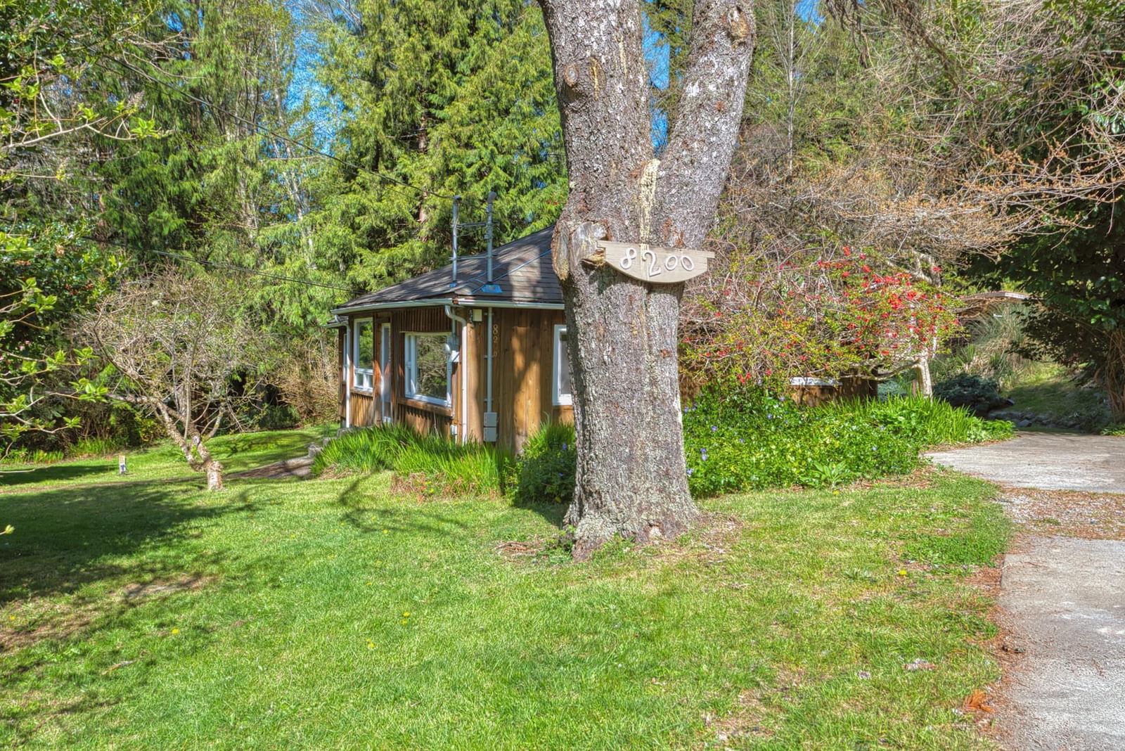 Listing Image 11