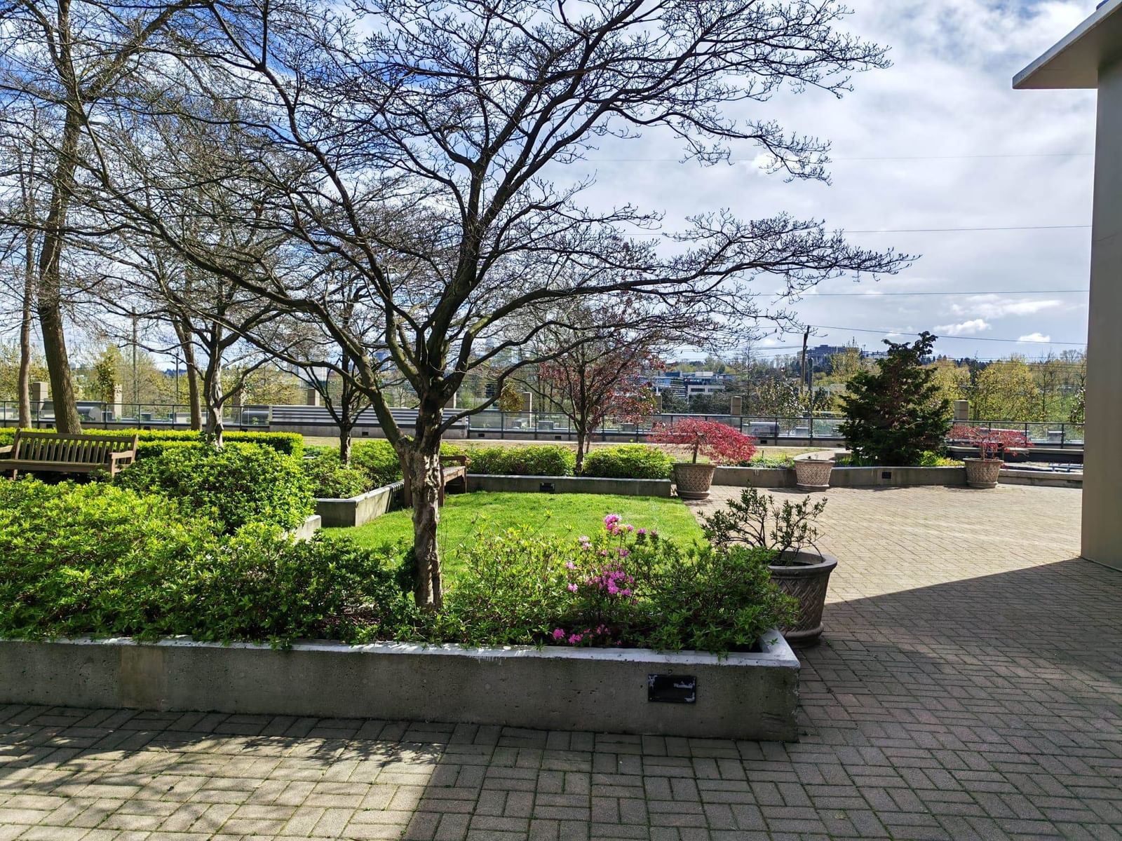 Listing Image 14