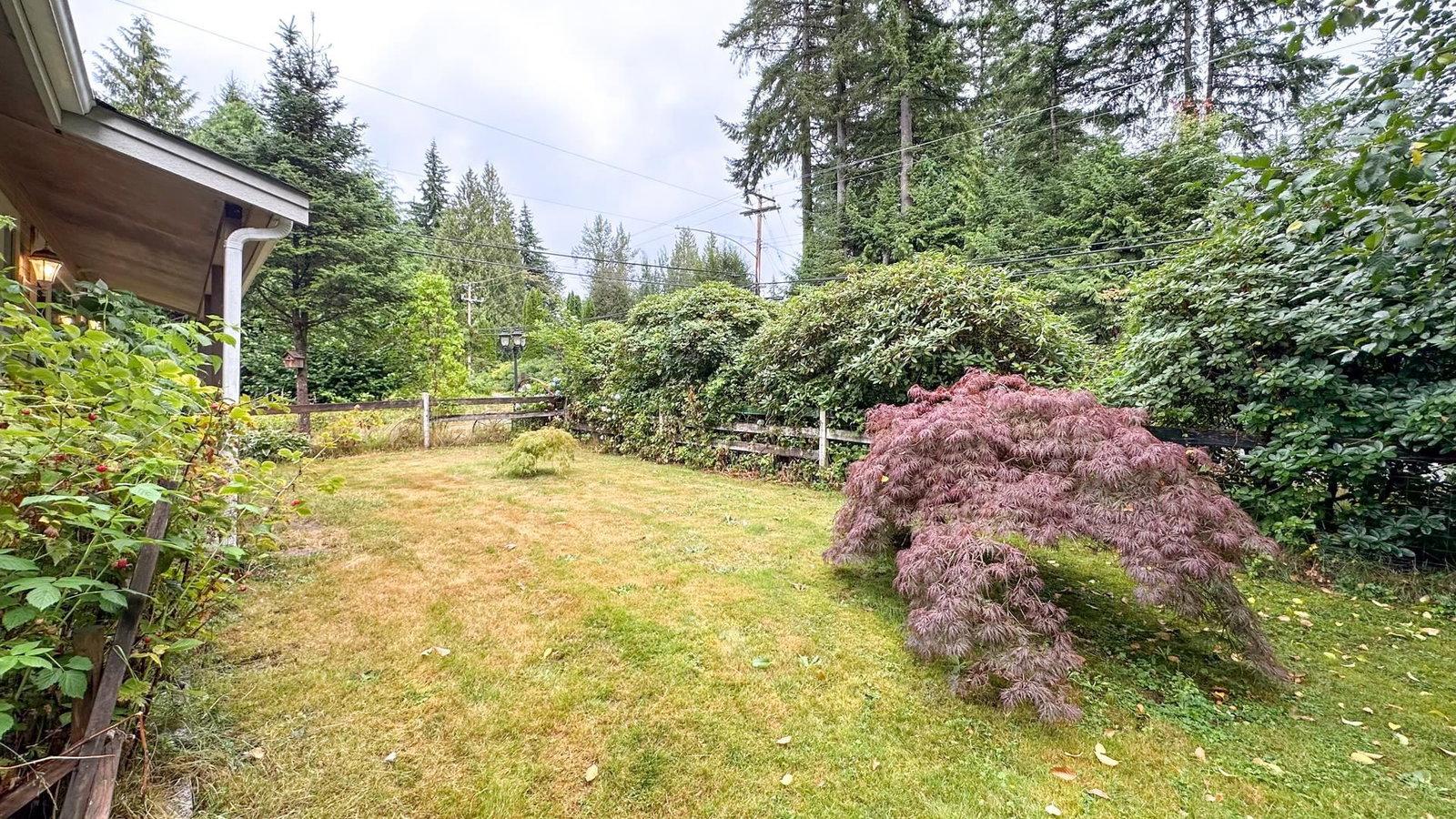 Listing Image 34