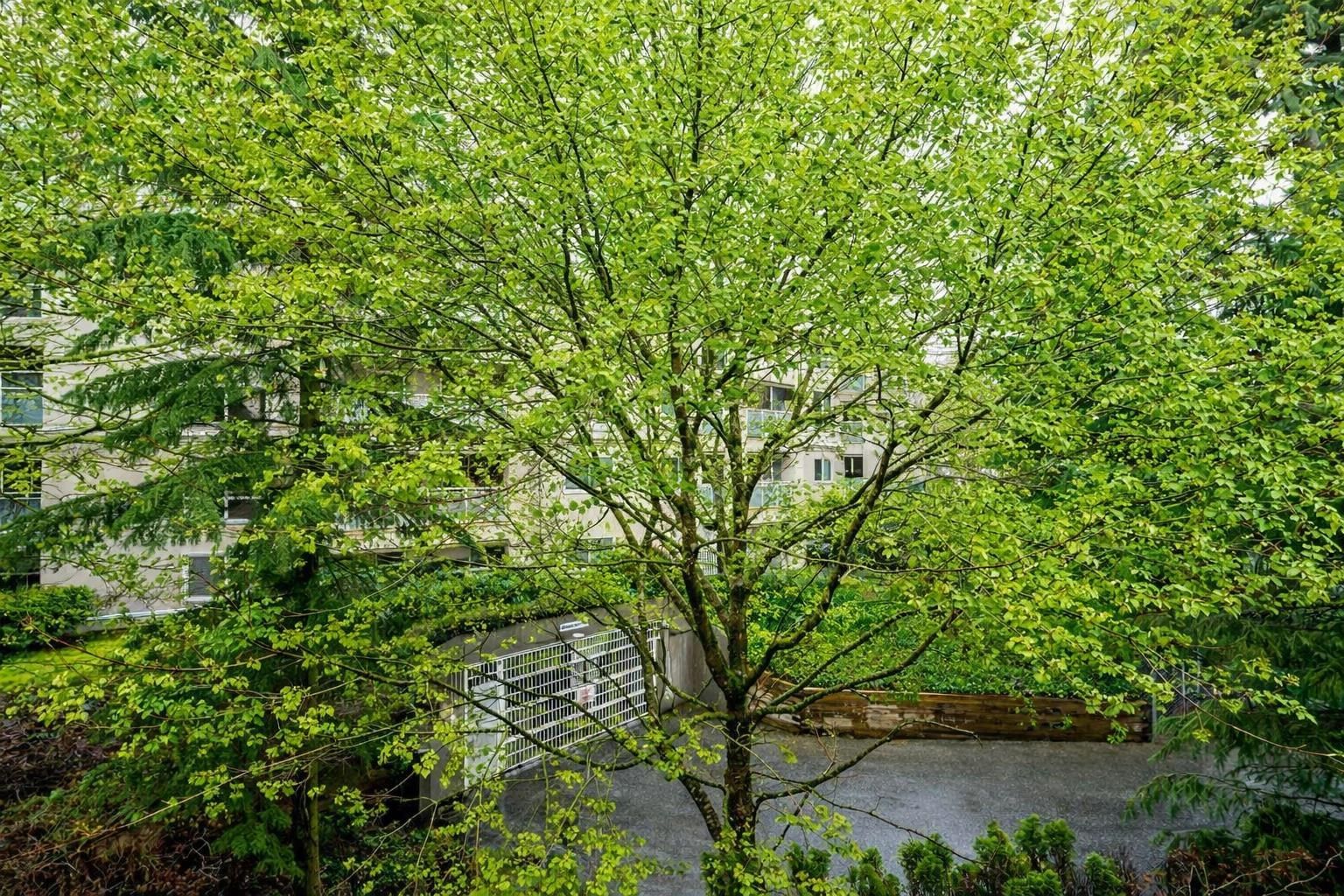 Listing Image 30