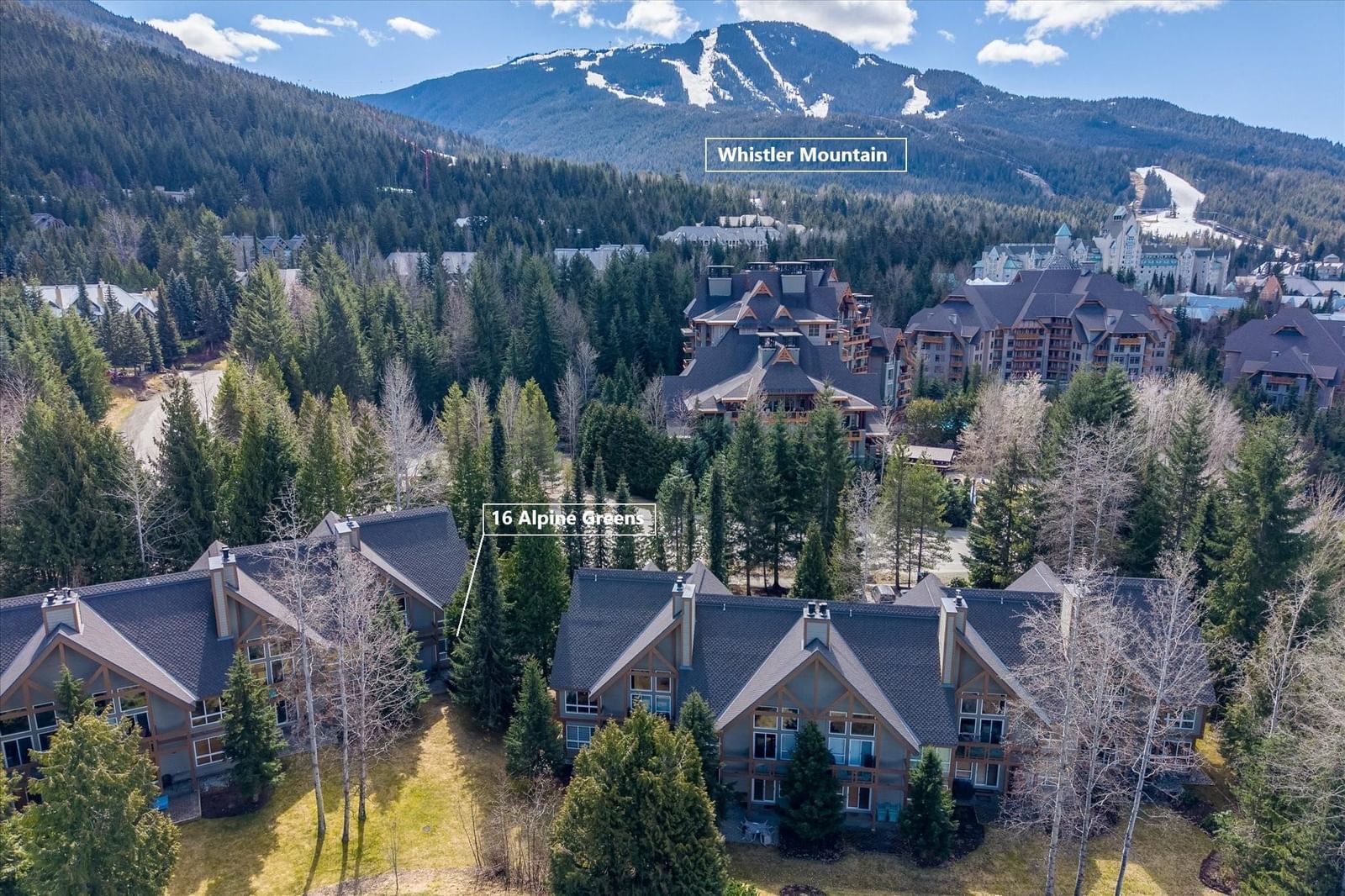 Listing Image 21