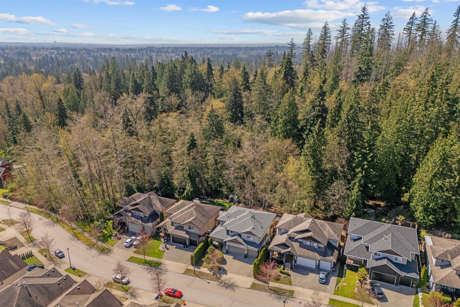 Listing Image 39