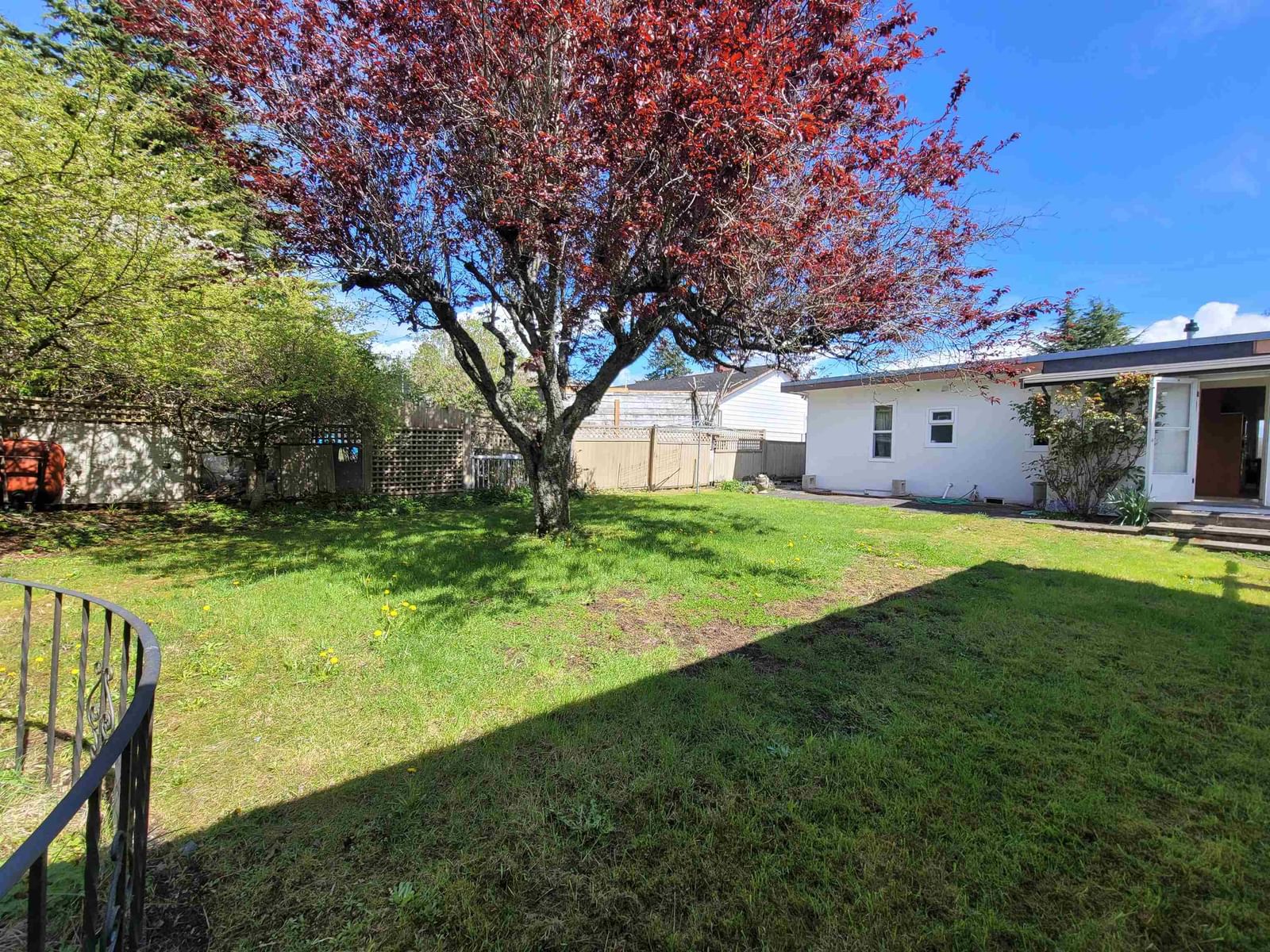 Listing Image 18