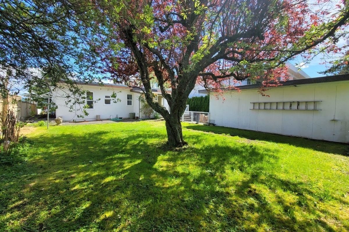 Listing Image 20