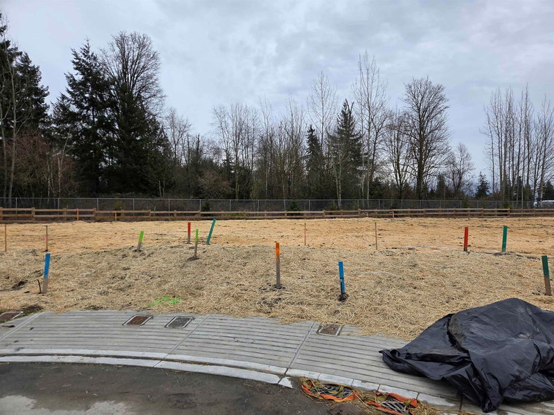 2565 Crossing Court, Abbotsford, V4X 1H4 | Image 3