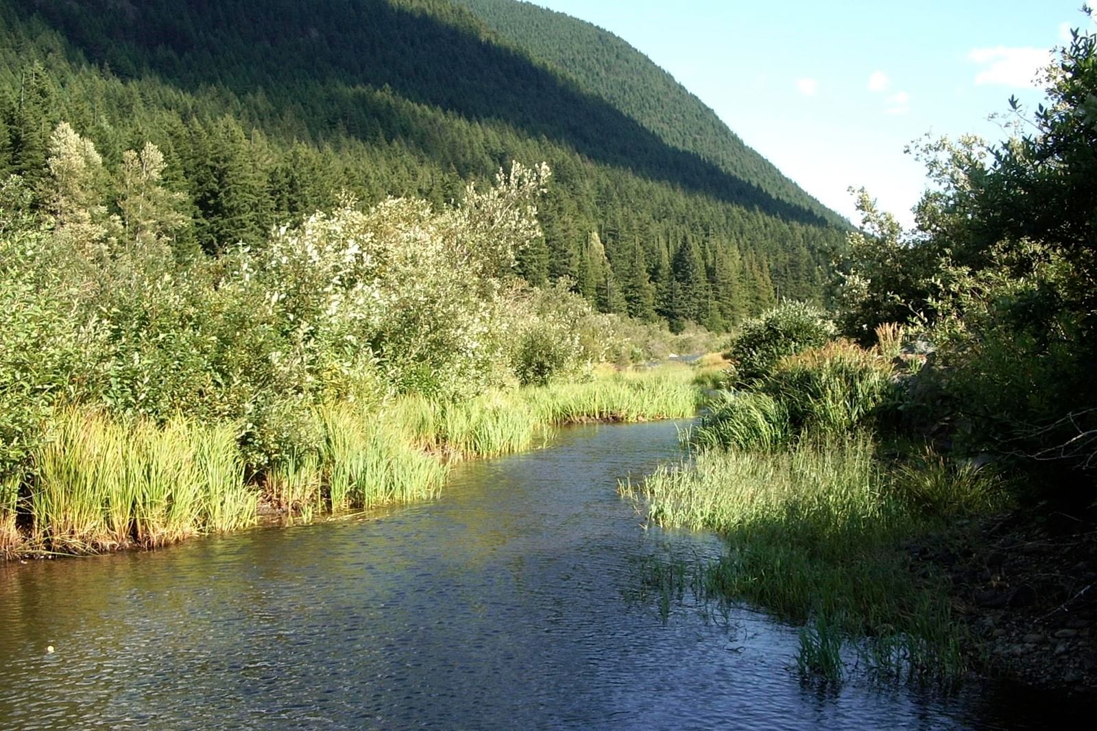 Listing Image 35