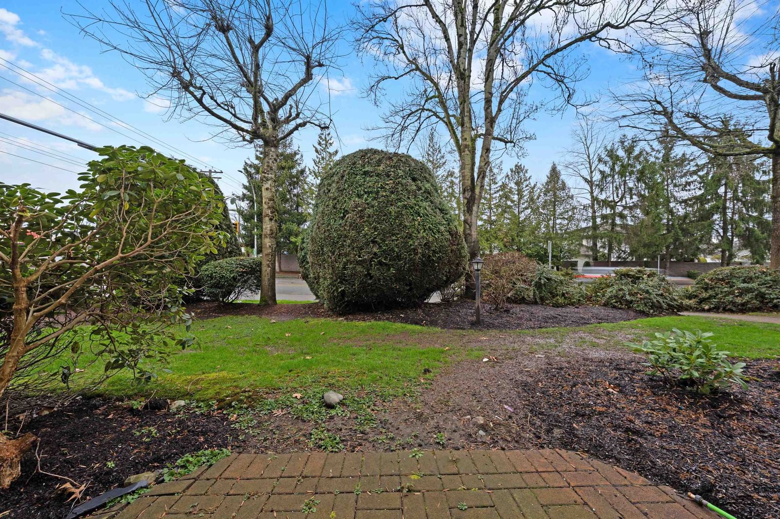 Listing Image 29