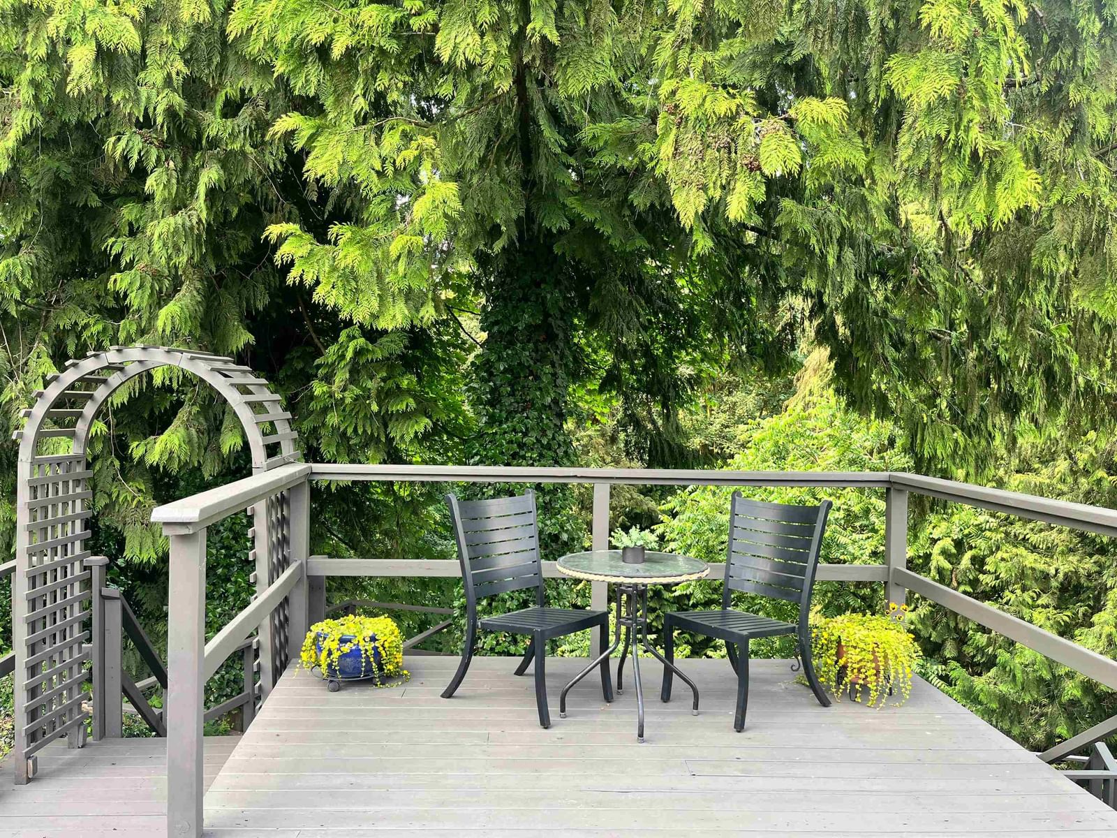 Listing Image 6