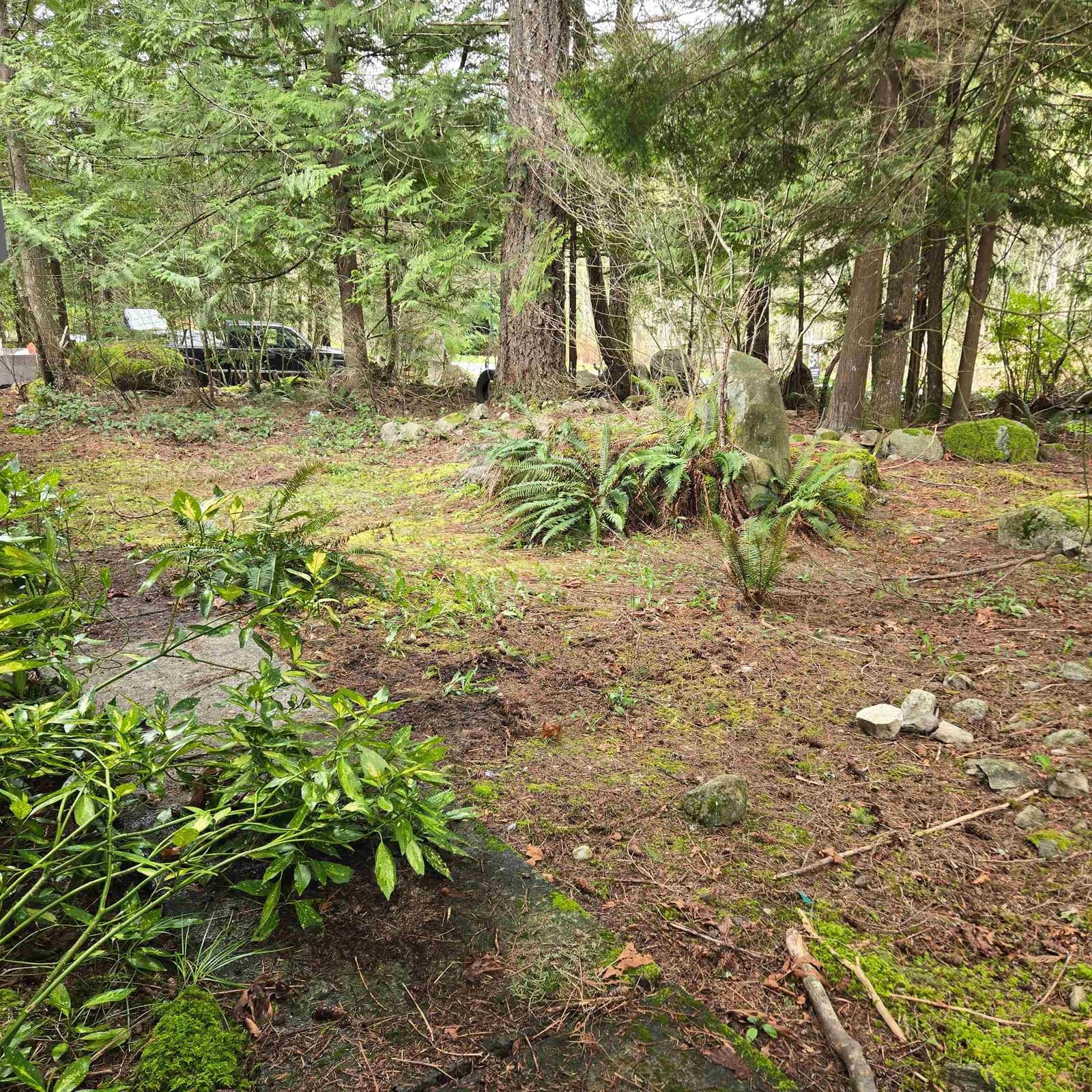 Listing Image 31