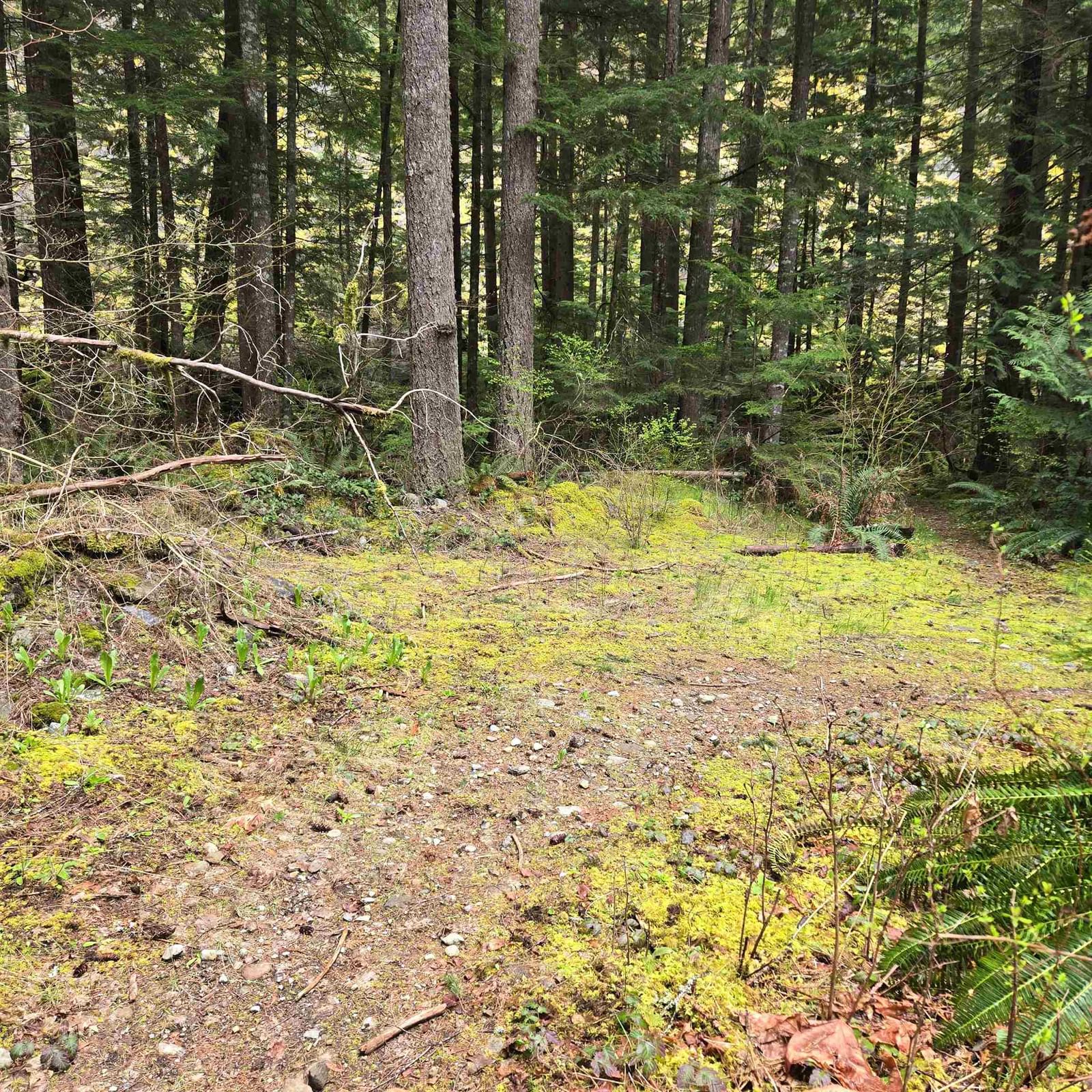 Listing Image 33