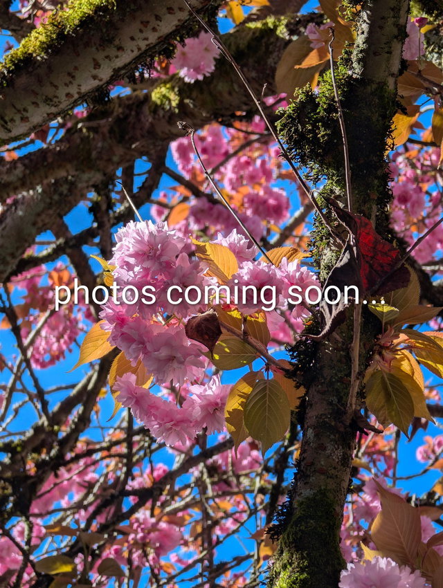 11 - 15192 62a Avenue