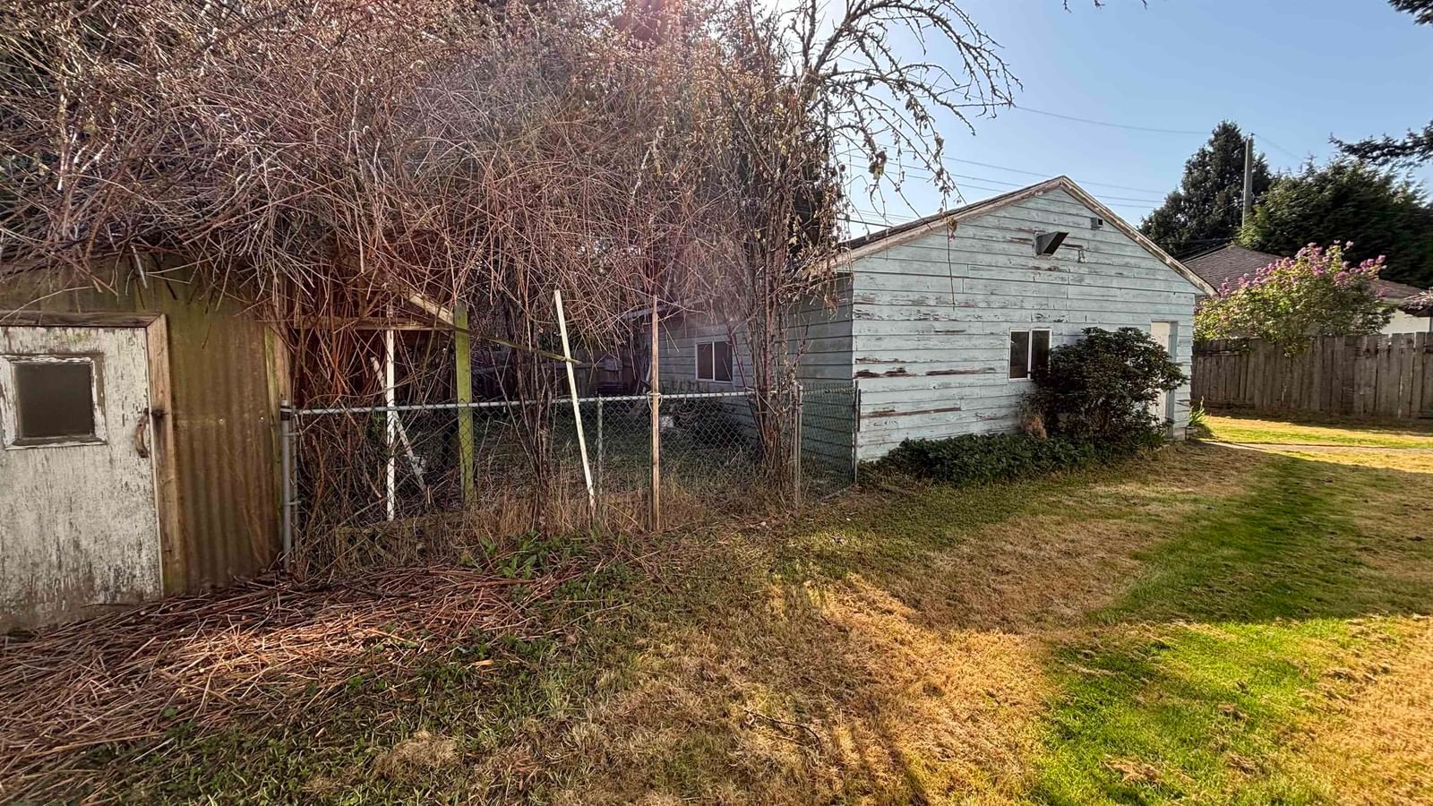 Listing Image 16