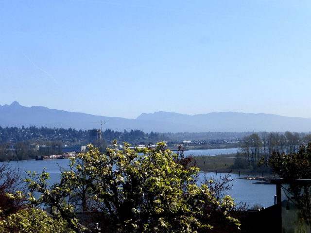 307 - 70 Richmond Street