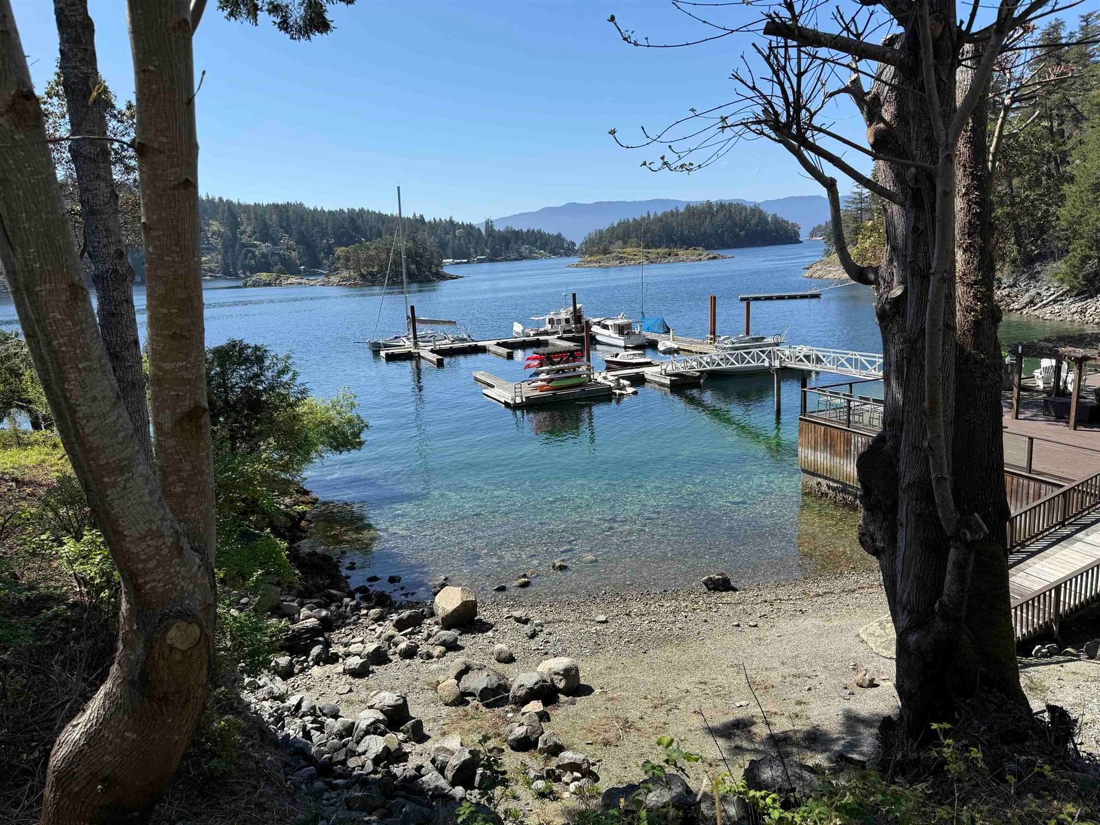 Listing Image 5
