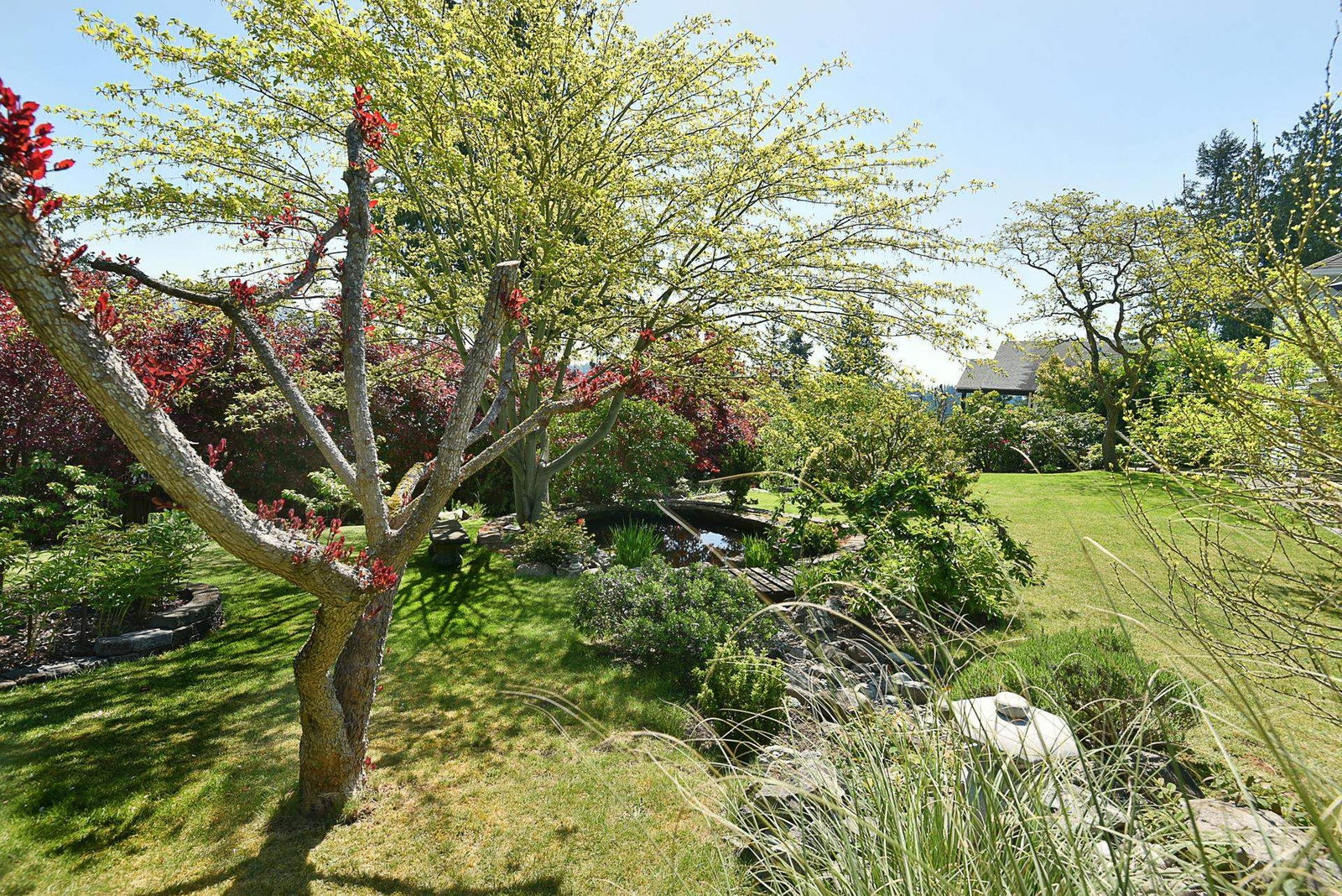 Listing Image 37