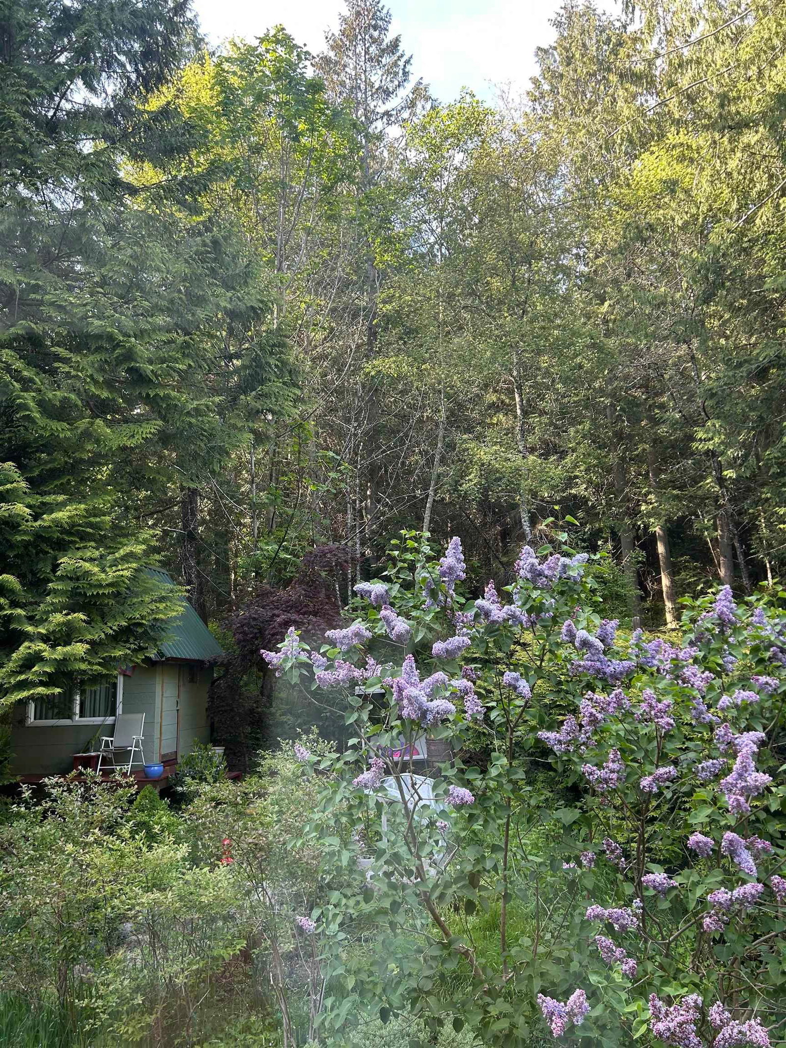 Listing Image 28