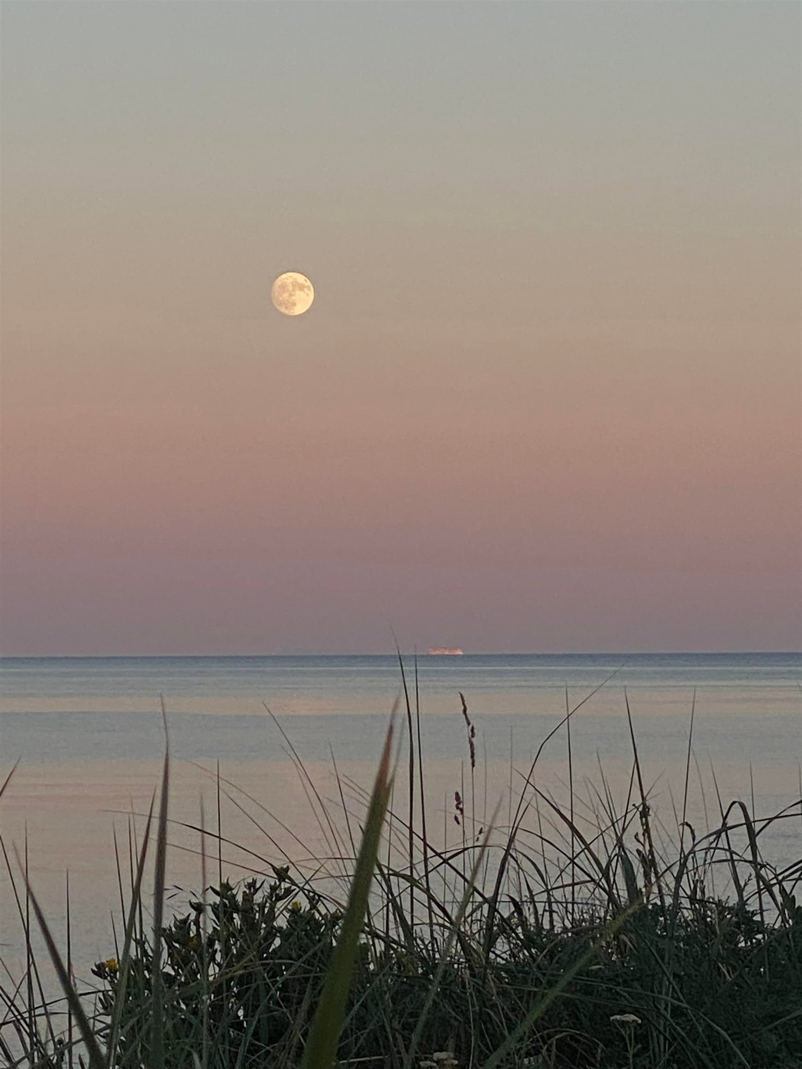 Listing Image 37