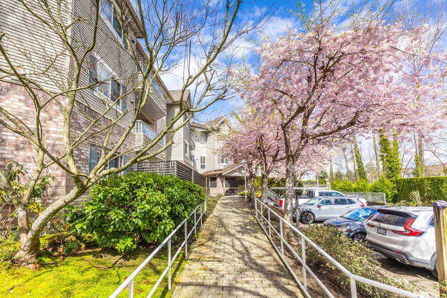 307 - 16137 83 Avenue