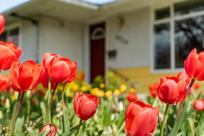 9726 Juniper Street | Chilliwack | Image