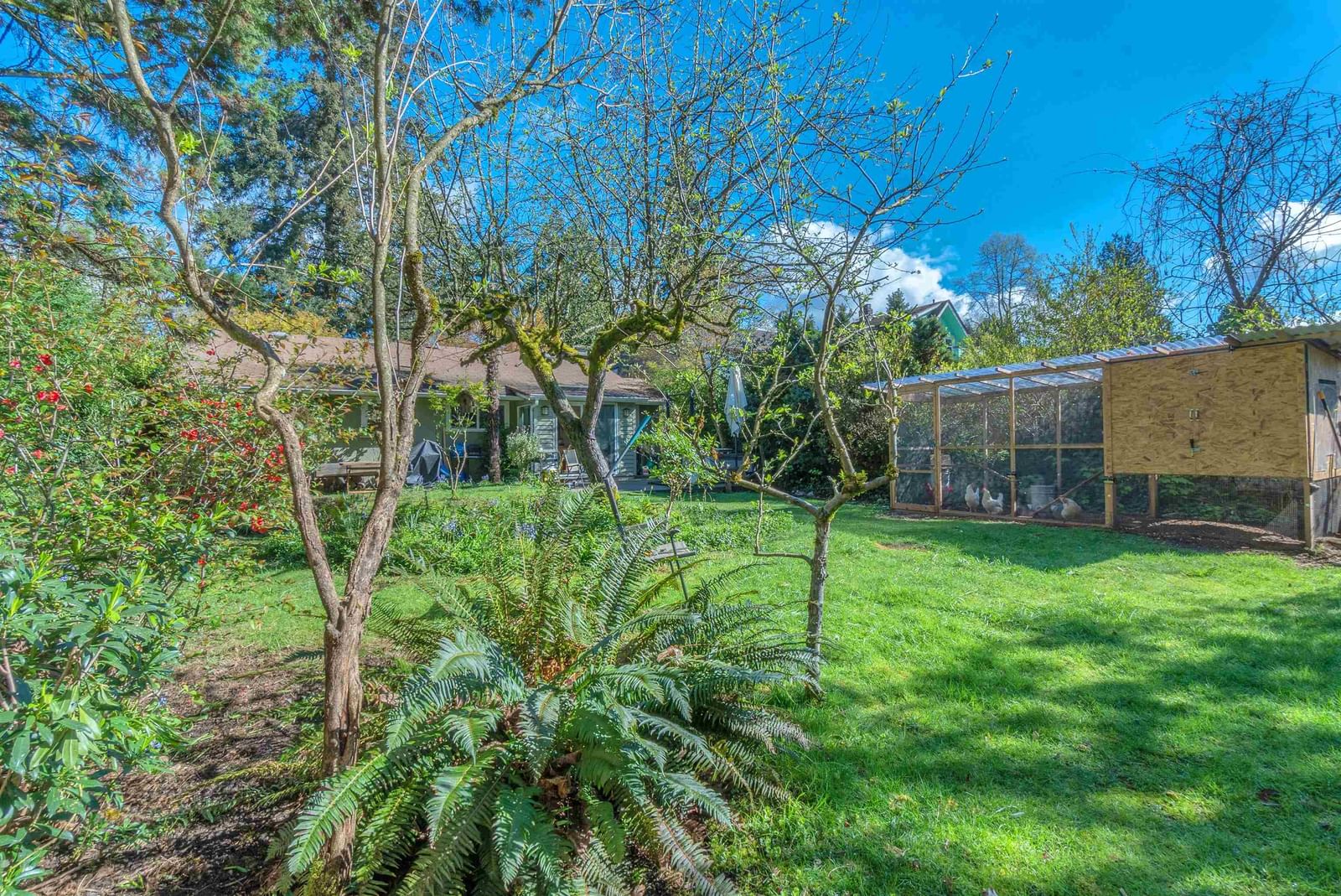 Listing Image 19
